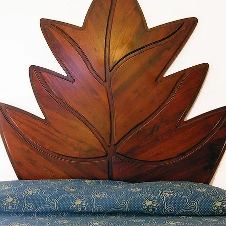 Jfi Hermitage 阿西西