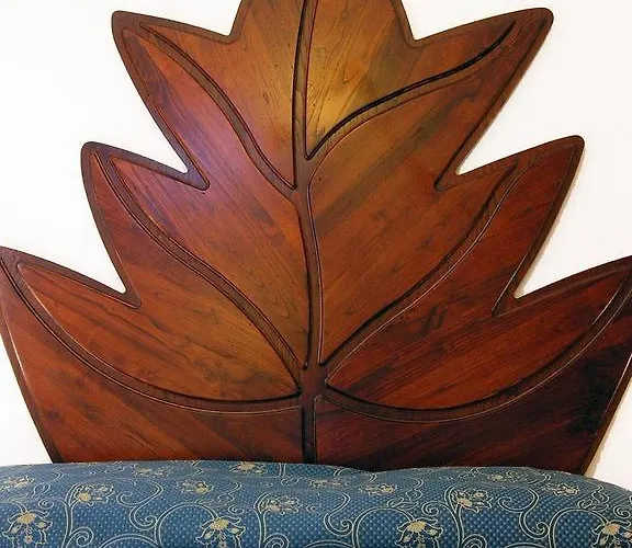 Jfi Hermitage Assisi